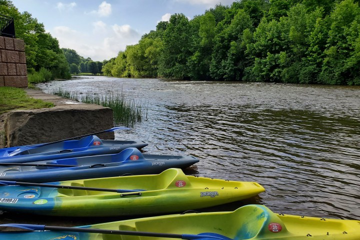 Multiple kayak in a body of water