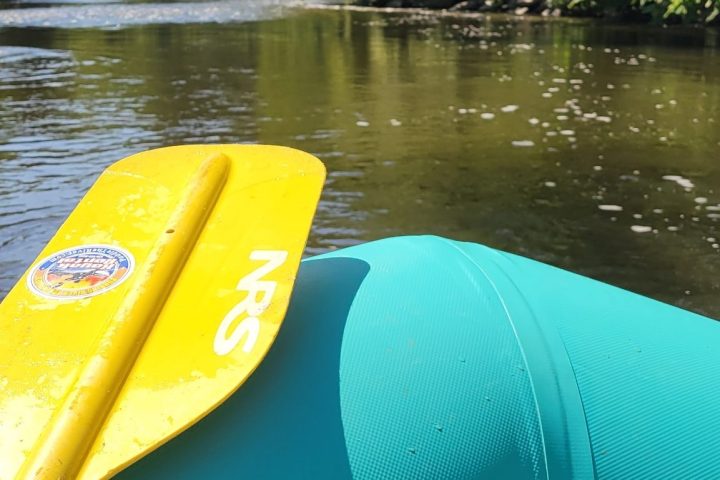 a green boat on a body of water